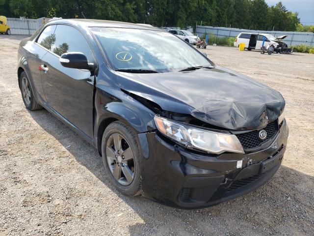 KIA FORTE EX 2010 with VIN KNAFU6A29A5217792 - Photo from auction
