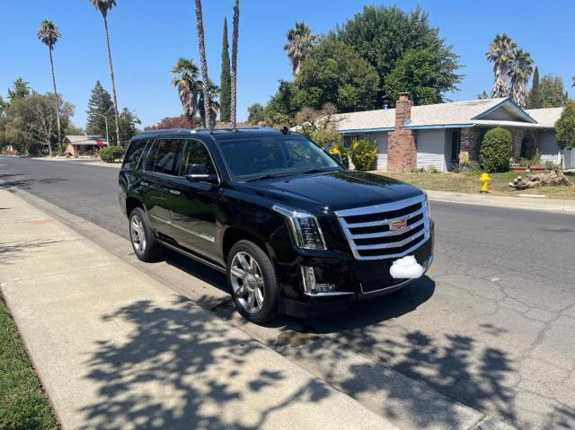 CADILLAC ESCALADE P 2020 with VIN 1GYS4CKJ0LR128611 - Photo from auction