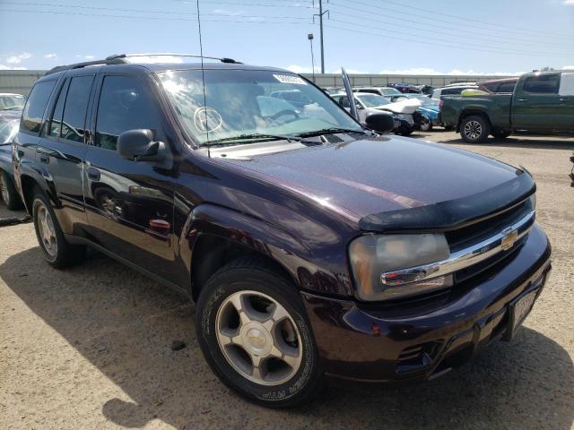 CHEVROLET TRAILBLAZE 2008 with VIN 1GNDT13S882240786 - Photo from auction