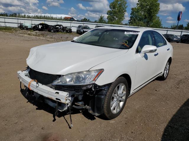 Photo 2 from auction – 2010 LEXUS ES 350 with VIN JTHBK1EG1A2402810