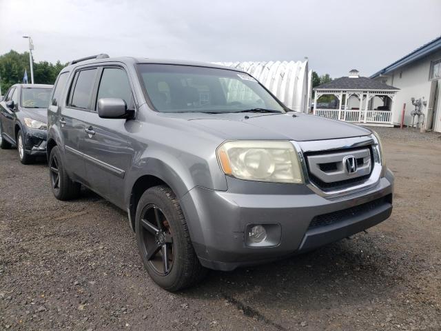 HONDA PILOT EXL 2009 with VIN 5FNYF48679B038597 - Photo from auction