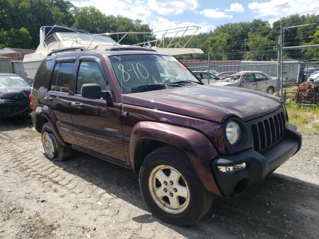 JEEP LIBERTY LI 2004 with VIN 1J8GL58K54W155437 - Photo from auction