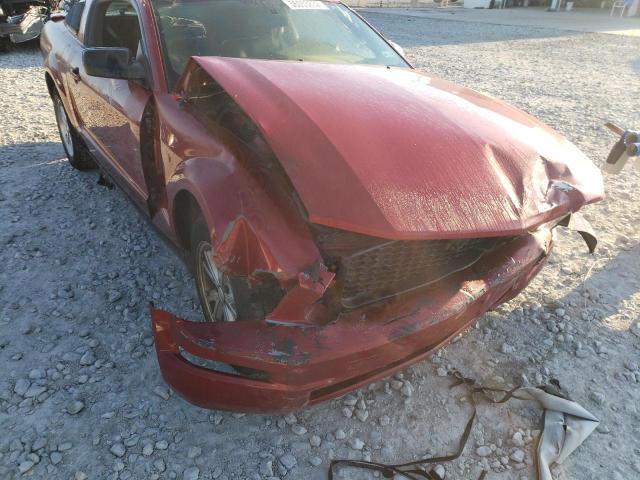 Photo 9 from auction – 2008 FORD MUSTANG with VIN 1ZVHT80N285117207