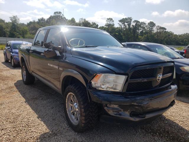 DODGE RAM 1500 2011 with VIN 1D7RV1CT0BS660315 - Photo from auction