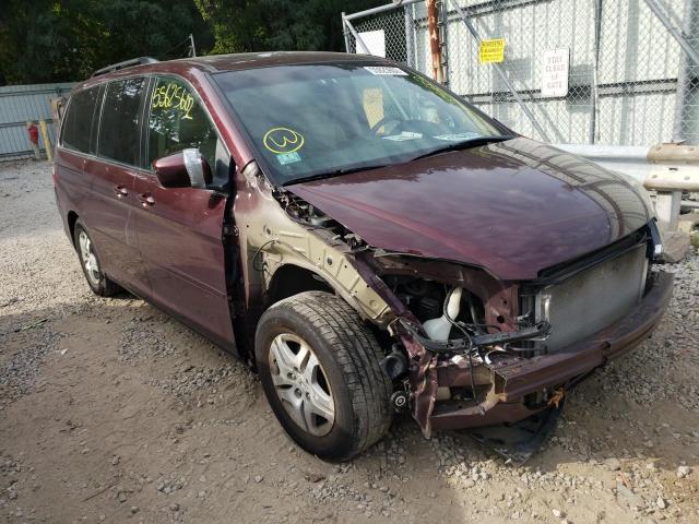 HONDA ODYSSEY EX 2007 with VIN 5FNRL38697B428704 - Photo from auction