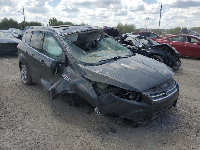 FORD ESCAPE TIT 2014 with VIN 1FMCU9JX1EUA44117 - Photo from auction