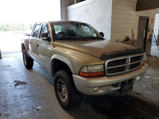 DODGE DAKOTA QUA 2002 with VIN 1B7HG48N22S672025 - Photo from auction