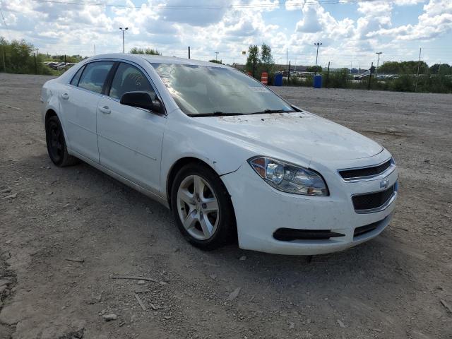 CHEVROLET MALIBU LS 2011 with VIN 1G1ZB5E10BF207206 - Photo from auction