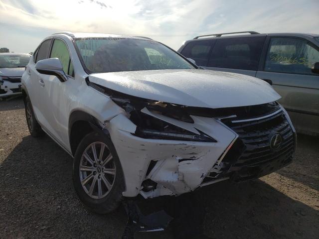Photo 1 from auction – 2021 LEXUS NX 300 BAS with VIN JTJDARDZ6M5022599
