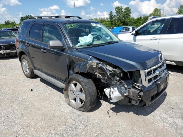 FORD ESCAPE XLT 2009 with VIN 1FMCU03G49KC85373 - Photo from auction