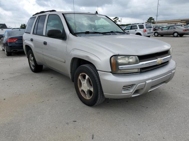 CHEVROLET TRAILBLAZE 2007 with VIN 1GNDS13S172176396 - Photo from auction