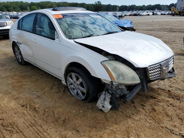 NISSAN MAXIMA SE 2005 with VIN 1N4BA41E85C868220 - Photo from auction