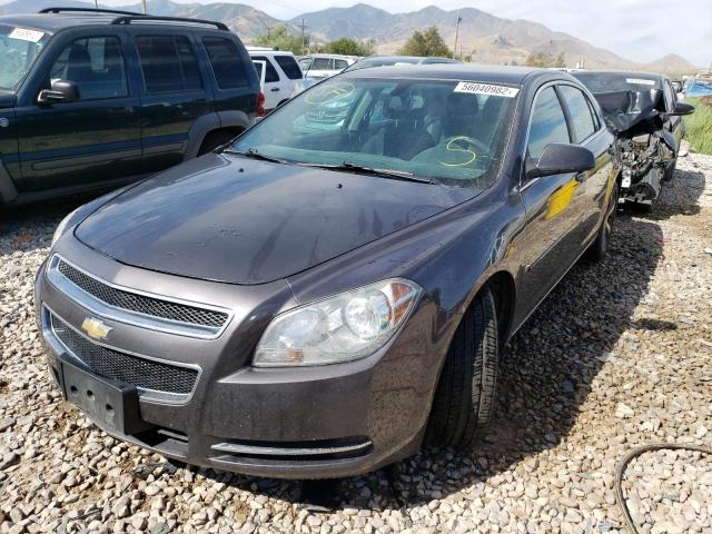 Photo 2 from auction – 2011 CHEVROLET MALIBU 1LT with VIN 1G1ZC5E14BF298980