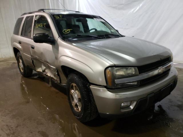 CHEVROLET TRAILBLAZE 2003 with VIN 1GNDT13SX32248333 - Photo from auction