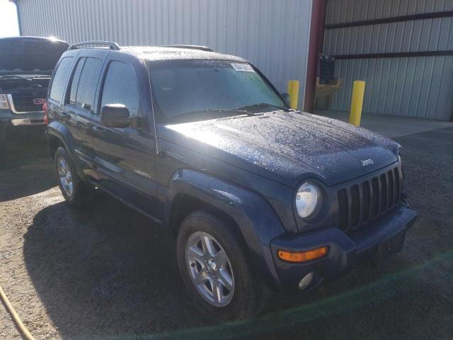 JEEP LIBERTY LI 2004 with VIN 1J4GL58K14W243256 - Photo from auction