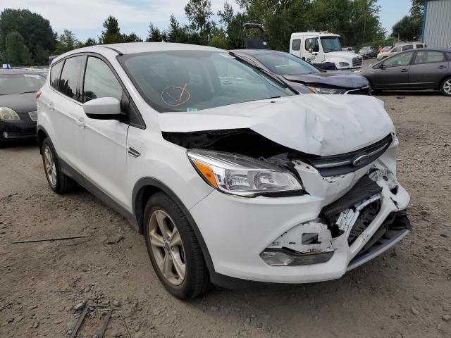 FORD ESCAPE SE 2014 with VIN 1FMCU0G93EUD52278 - Photo from auction