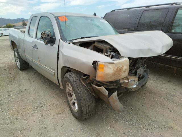 CHEVROLET SILVERADO 2009 with VIN 1GCEK19C99Z207840 - Photo from auction