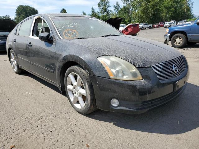 NISSAN MAXIMA SE 2006 with VIN 1N4BA41E36C851309 - Photo from auction
