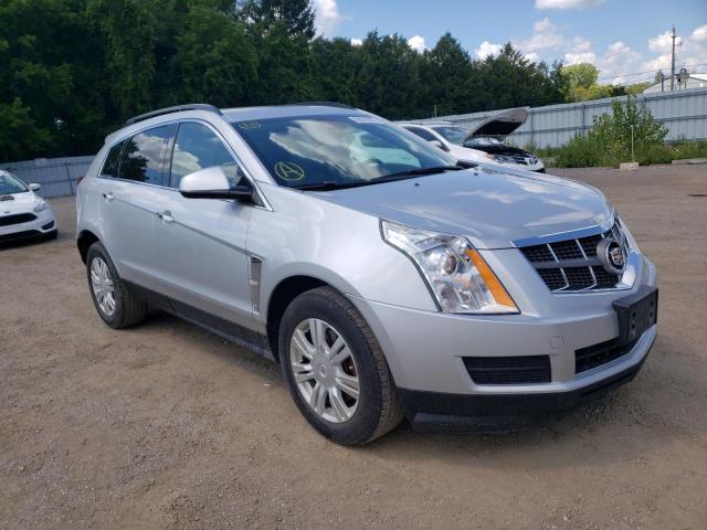 CADILLAC SRX 2011 with VIN 3GYFNGEY1BS516439 - Photo from auction
