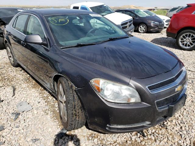 CHEVROLET MALIBU 1LT 2011 with VIN 1G1ZC5E14BF298980 - Photo from auction