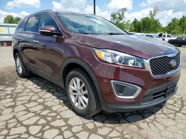KIA SORENTO LX 2016 with VIN 5XYPG4A35GG120973 - Photo from auction