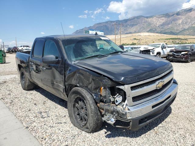 CHEVROLET SILVERADO 2009 with VIN 2GCEK23M291133824 - Photo from auction
