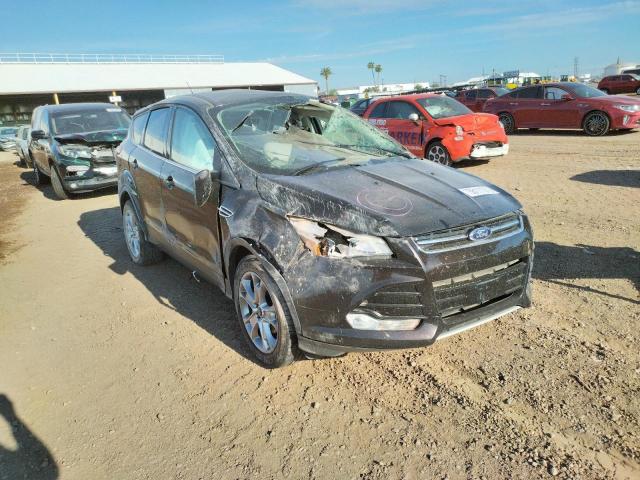 FORD ESCAPE SEL 2013 with VIN 1FMCU0HXXDUB44572 - Photo from auction
