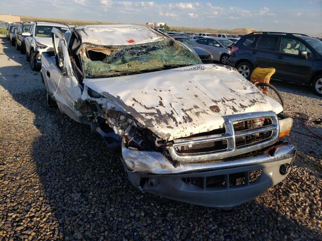 DODGE DAKOTA 1998 with VIN 1B7GG22Y3WS600968 - Photo from auction