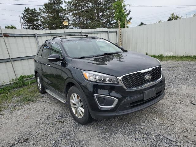 KIA SORENTO LX 2016 with VIN 5XYPGDA34GG041648 - Photo from auction