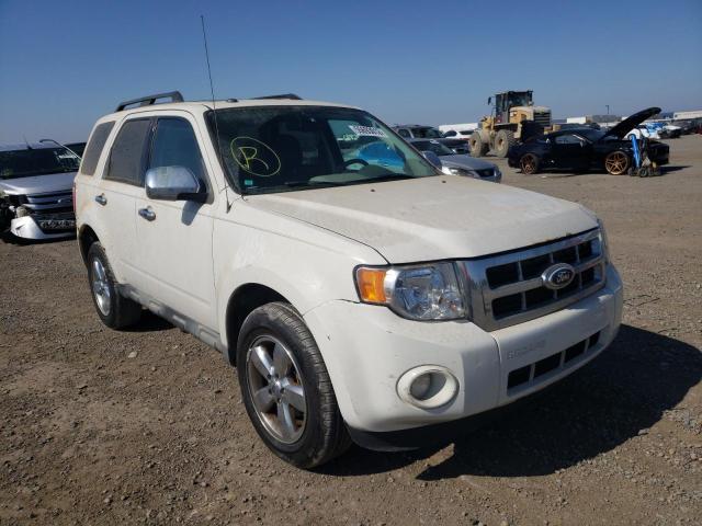 FORD ESCAPE XLT 2009 with VIN 1FMCU03G89KD00909 - Photo from auction