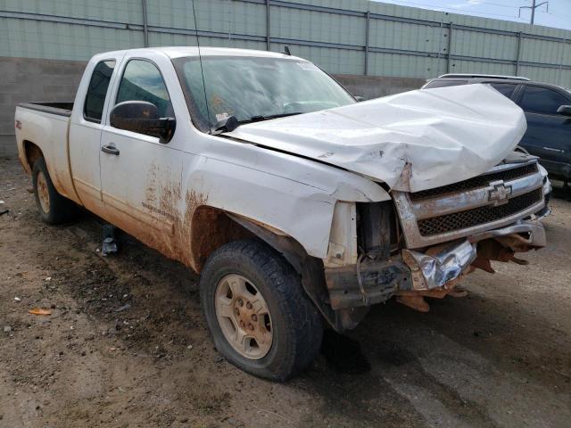 CHEVROLET SILVERADO 2009 with VIN 1GCEK29019Z131865 - Photo from auction