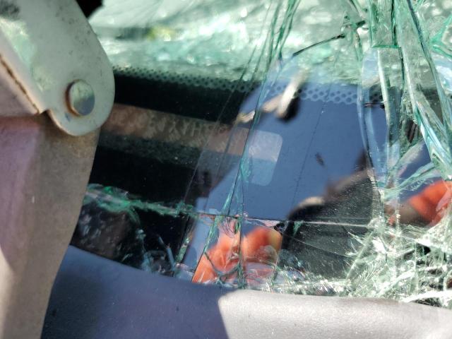 Photo 10 from auction – 2000 HONDA CIVIC BASE with VIN 2HGEJ661XYH598841