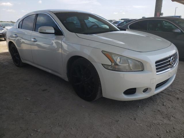 NISSAN MAXIMA S 2009 with VIN 1N4AA51E99C807224 - Photo from auction