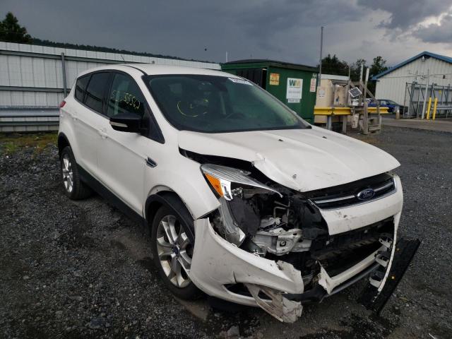 FORD ESCAPE SEL 2013 with VIN 1FMCU9H97DUC38141 - Photo from auction