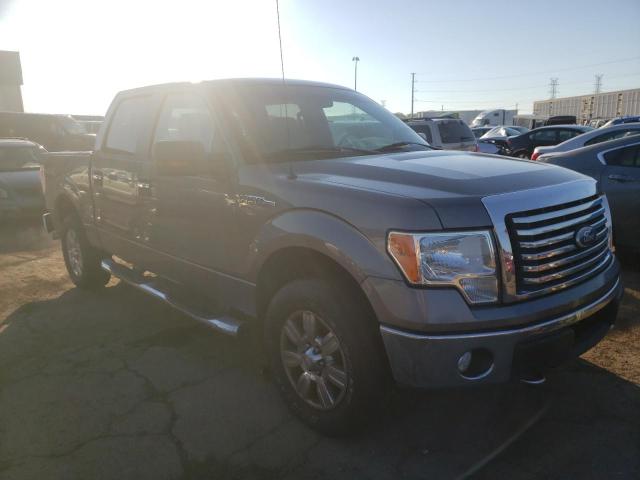 FORD F150 SUPER 2010 with VIN 1FTEW1E86AFA96868 - Photo from auction
