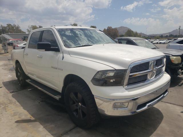 DODGE RAM 1500 2009 with VIN 1D3HB13T69S799770 - Photo from auction