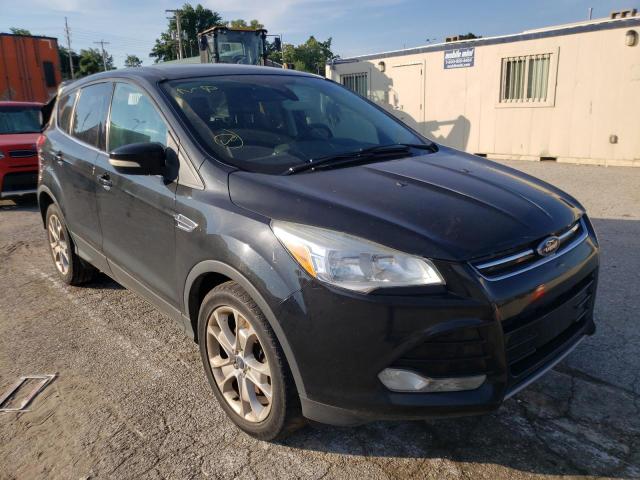 FORD ESCAPE SEL 2013 with VIN 1FMCU0H92DUA14285 - Photo from auction