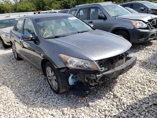 HONDA ACCORD EXL 2011 with VIN 1HGCP3F85BA031749 - Photo from auction