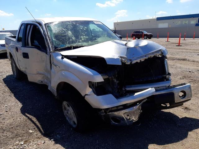 FORD F150 SUPER 2010 with VIN 1FTFW1EV8AFC69588 - Photo from auction