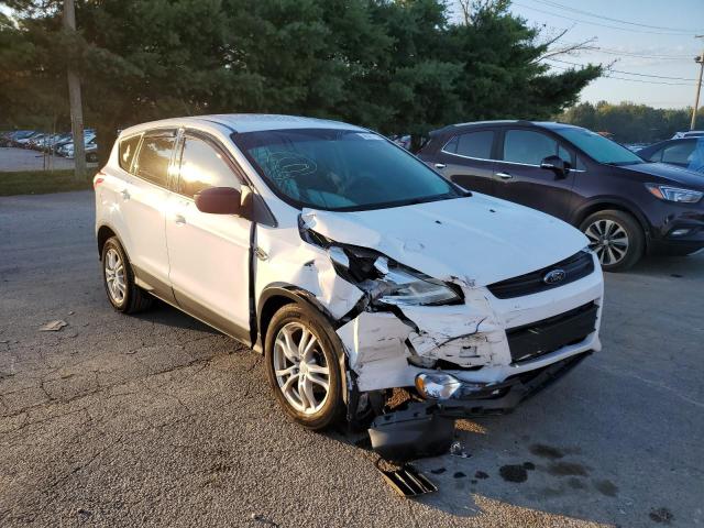 FORD ESCAPE S 2014 with VIN 1FMCU0F7XEUD49782 - Photo from auction