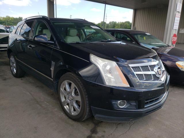 CADILLAC SRX PREMIU 2011 with VIN 3GYFNFEY0BS559096 - Photo from auction