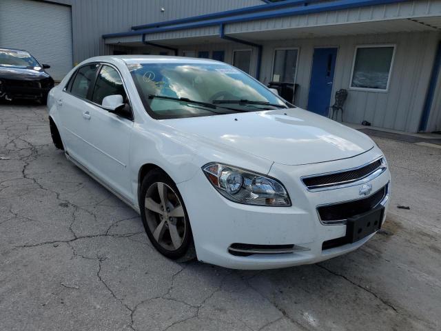 CHEVROLET MALIBU 2011 with VIN 1G1ZC5E19BF374063 - Photo from auction