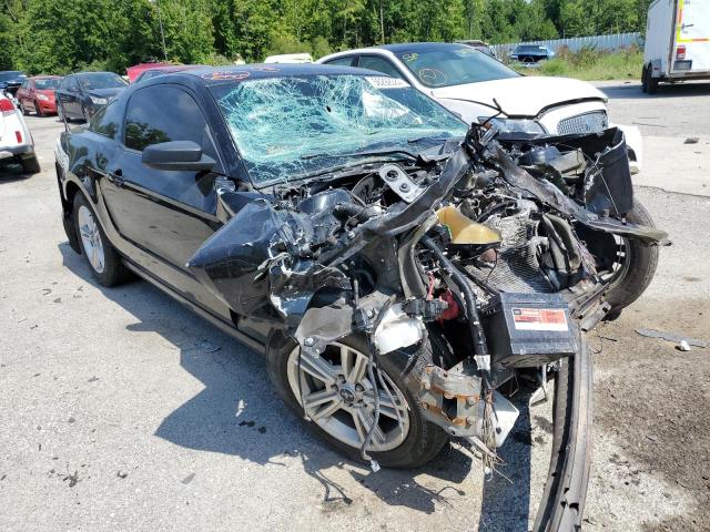 FORD MUSTANG 2014 with VIN 1ZVBP8AM0E5319829 - Photo from auction