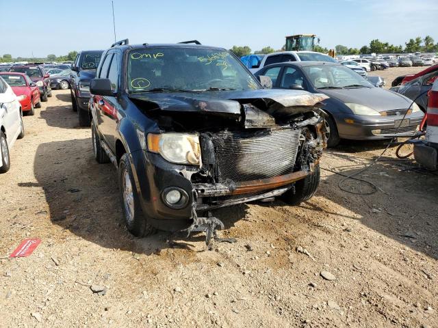 FORD ESCAPE XLT 2010 with VIN 1FMCU0DG0AKC96650 - Photo from auction
