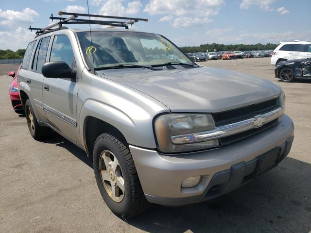 CHEVROLET TRAILBLAZE 2002 with VIN 1GNDT13S422241134 - Photo from auction