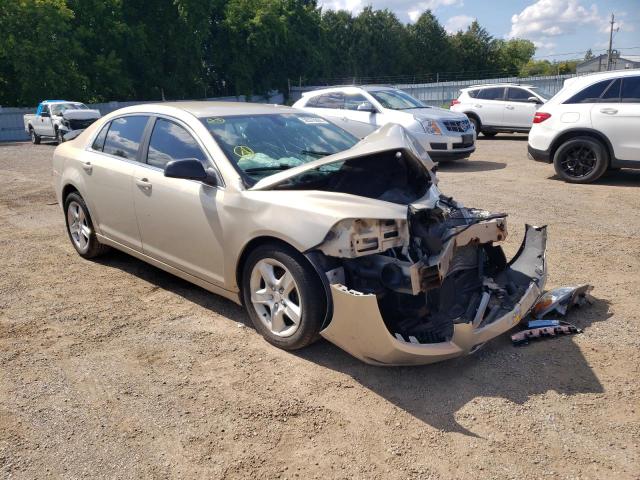 CHEVROLET MALIBU LS 2010 with VIN 1G1ZB5E08AF196610 - Photo from auction