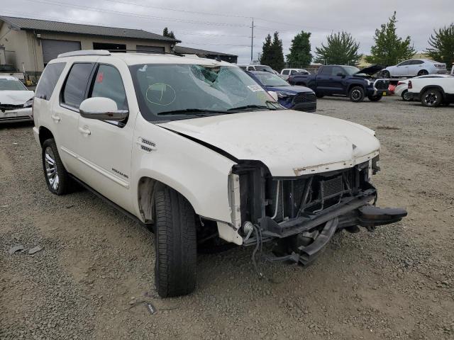 CADILLAC ESCALADE P 2013 с VIN 1GYS4CEF3DR229795 - Фото с аукциона