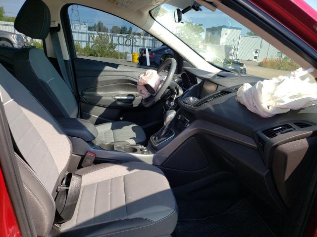 Photo 5 from auction – 2014 FORD ESCAPE SE with VIN 1FMCU0GX2EUA09167
