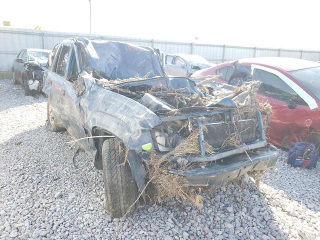 CHEVROLET TRAILBLAZE 2002 with VIN 1GNDT13S122170202 - Photo from auction