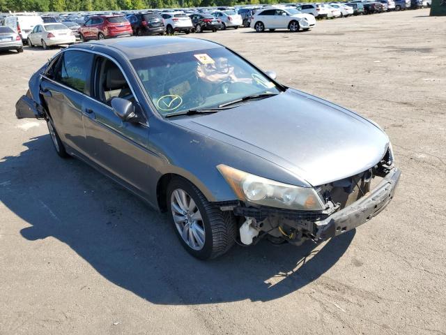 HONDA ACCORD EXL 2011 with VIN 1HGCP2F84BA031543 - Photo from auction